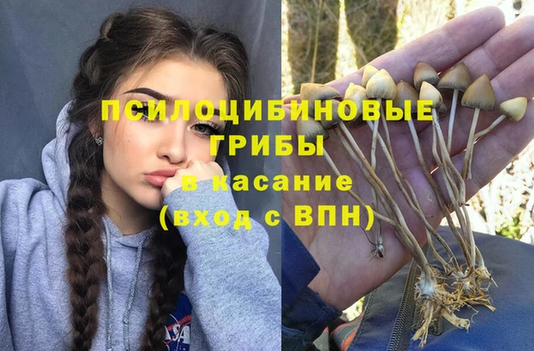 бошки Кинешма