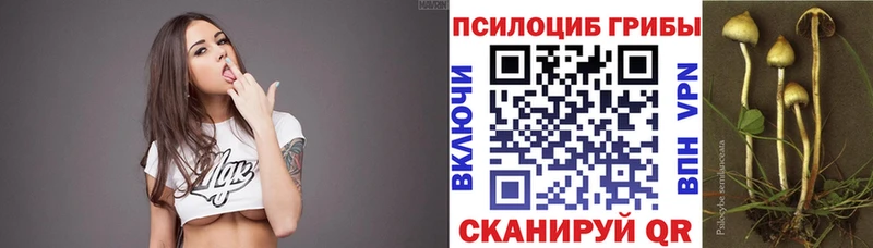 Псилоцибиновые грибы Psilocybe  кракен как войти  Моршанск  где купить наркотик 