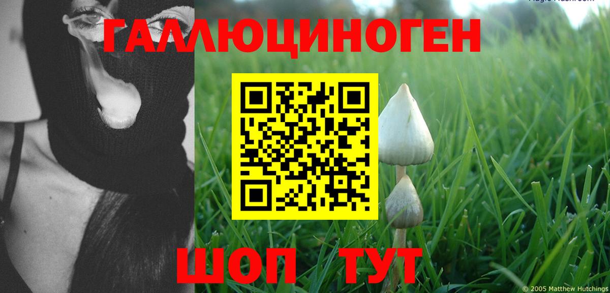 Моршанск  Псилоцибиновые грибы Cubensis  Галлюциногенные грибы Psilocybe  Вход с VPN 